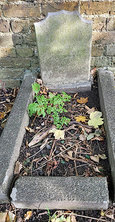 Grave Of Ann Froy Died 26th July 1944 Age 5 Months