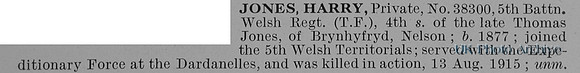 Jones H Pte 38300 5th Welsh Regiment Obit