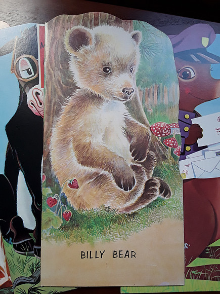 My Animal Adventure Kit Books