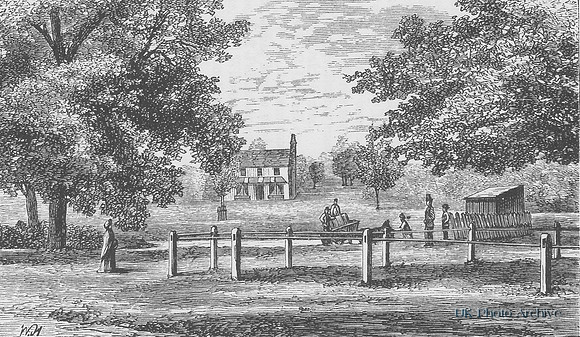 Sutton Green 1880
