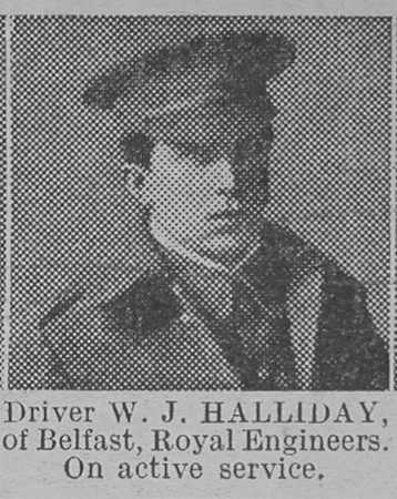Halliday W J Dvr Royal Engineers Of Belfast The Vivid 6th Mar 1915