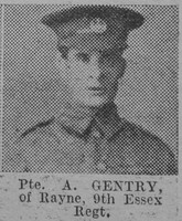 Gentry A Pte 9th Essex Regiment Of Rayne The Vivid 13th Mar 1915