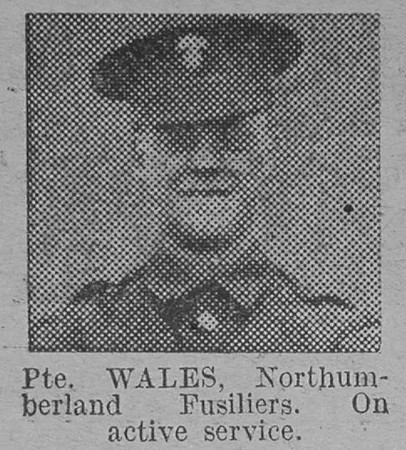 Wales Pte Northumberland Fusiliers The Vivid 20th Mar 1915