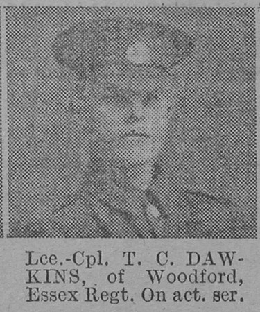 Dawkins T C LCpl Essex Regiment Of Woodford The Vivid 3rd Apr 1915