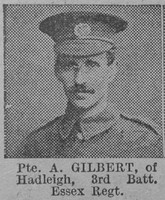 Gilbert A Pte 3rd Essex Regiment Of Hadleigh The Vivid 27th Mar 1915