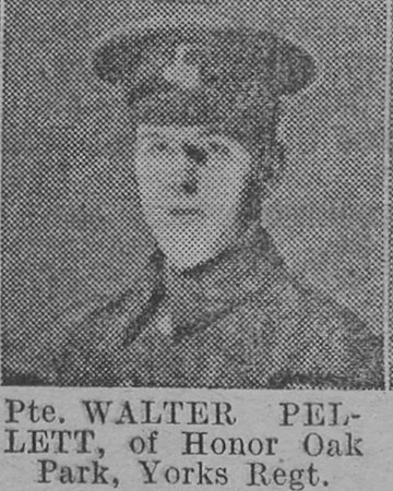 Pellett W Pte Yorkshire Regiment Of Honour Oak Park The Vivid 3rd Apr 1915