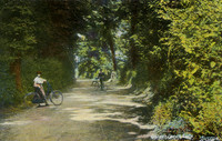 Gander Green Lane 1906 Postcard to Miss E Osborn Dorset House, Littlehampton, Sussex. Epsom Postmark
