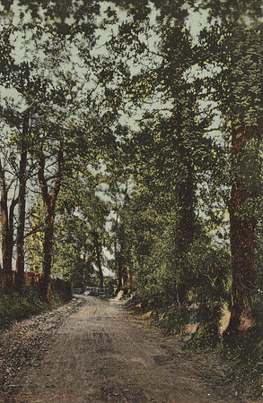 Gander Green Lane Sutton 1905 Postcard To Miss D M Cole 21 Worley Road, St Albans. Sutton Postmark.