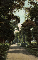 Gander Green Lane Sutton Postcard To Miss Dolly Russell 186 Welldon Crescent Harrow Sutton Postmark