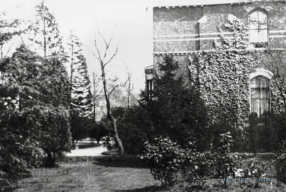 Brambleacres Rear Of House And Garden c1900