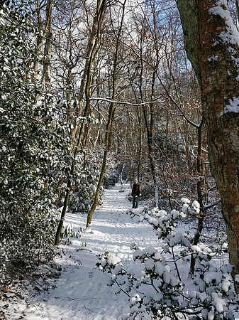 Ottershaw 28th Feb 2018