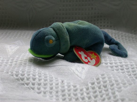 Iggy The Iguana