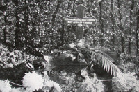 Original Grave Markers