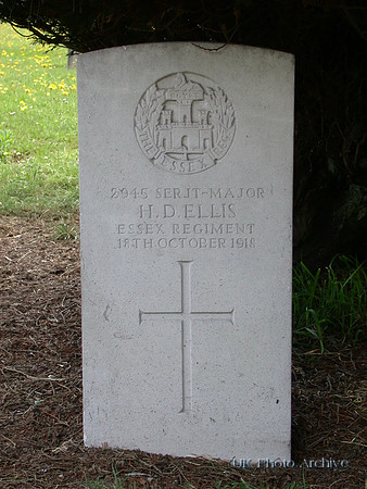 Ellis H D Sergt Maj 2945 3rd Essex Regiment EPSOM CEMETERY
