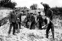 A Pioneer Squad Of The 11th London Regiment At Work