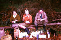 Picnics