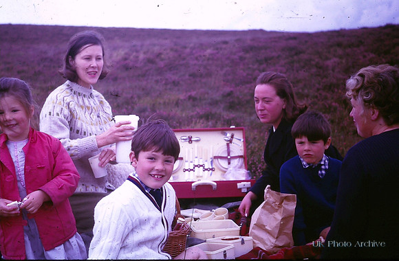 A Picnic In The 1960s
