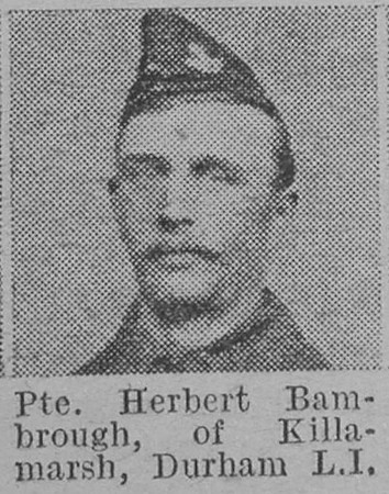 Bambrough H Pte Durham Light Infantry Of Killamarsh The Vivid 17th April 1915