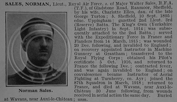 Sales N Lt Royal Air Force Obit De Ruvignys Roll Of Honour Vol 4