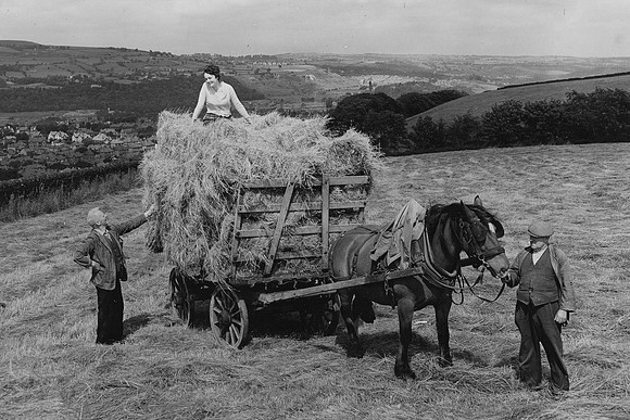 Helliwells Farm Shipley Yorkshire 1950s