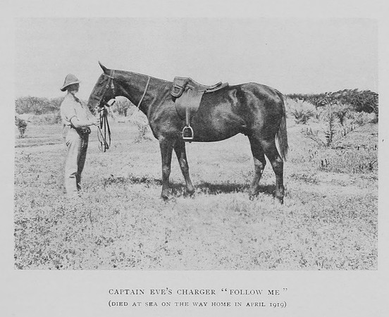 Eve Captain Horse 13th Hussars The 13th Hussars In The Great War