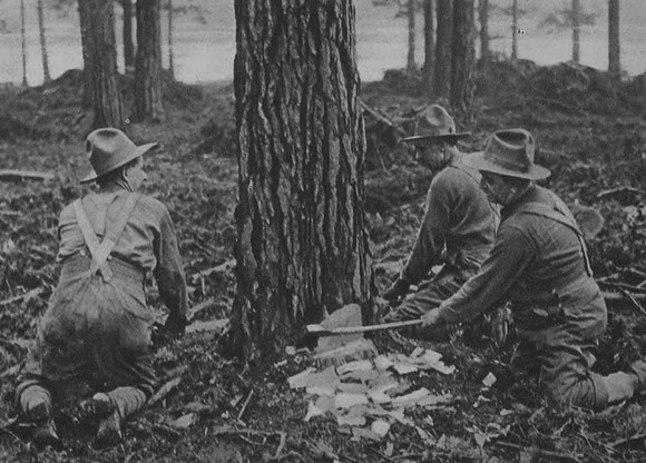 The Canadian Foresters Battalion At Work In Surrey