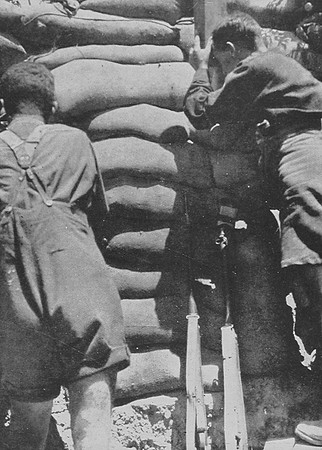 Fighting In Shorts British Soldiers In Gallipoli