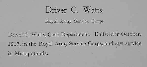 Watts C Dvr Army Service Corps Record  William Graham Co Roll Of Honour