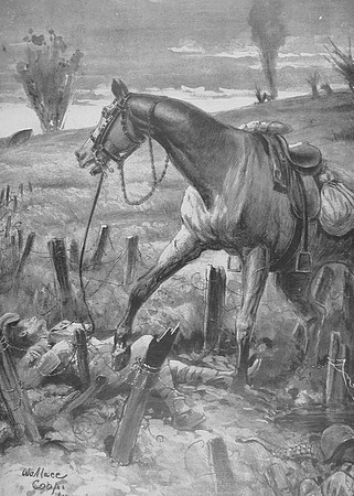 A Faithful Horse Alone And Terrified On The Battle Field