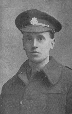 Shepherd H G Signaller 229592 26th Royal Fusiliers