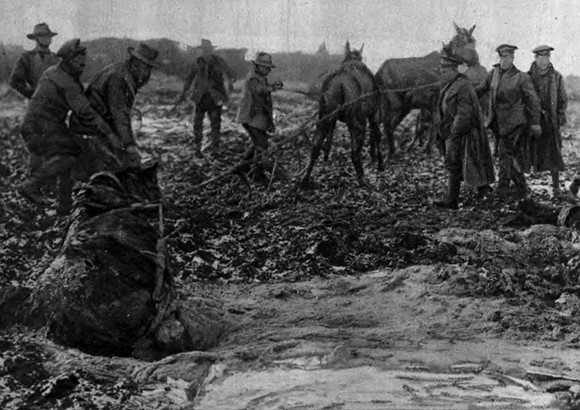 A Pair Of Mules Hauling Out Another That Has Slipped Into A Shell Hole Full Of Mud