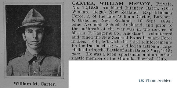 Carter W M Pte 12-1585 Auckland Infantry Battalion NZEF Obituary De Ruvignys Roll Of Honour Vol 1