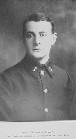 Champ T A Pte 791 17th Royal Fusiliers
