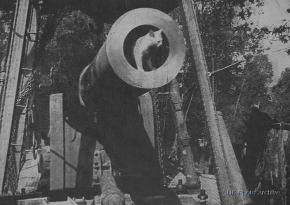 A French Artillery Mascot