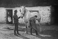 The Blacksmith Shoeing A Horse c.1880