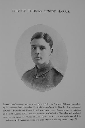Harris T E Pte 28291 1st Grenadier Guards Northern Assurance Co War Record