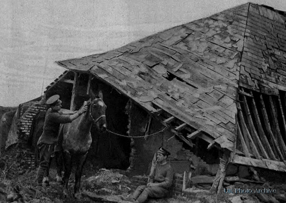 A Soldier In The Royal Horse Artillery Groomng A Horse While Another Rests
