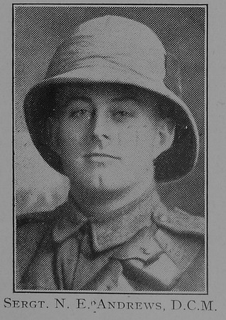 Andrews N E Sergt DCM Dorset Yeomanry