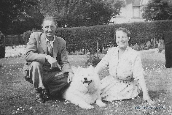 1950s Couple With Samoyed