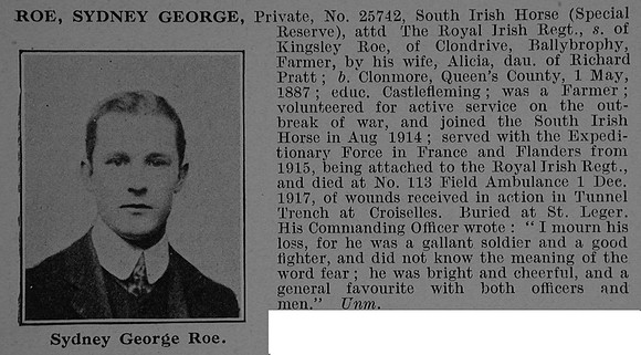 Roe S G Pte South Irish Horse Obit De Ruvignys Roll Of Honour Vol 4