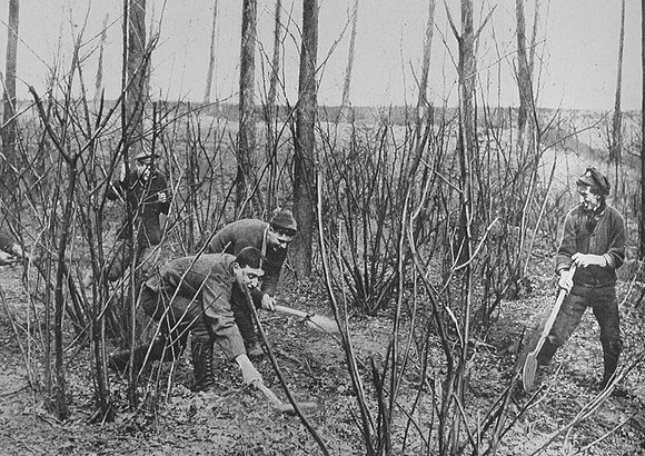 Canadian Soldiers Rat Catching On The Western Front