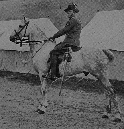 Hendry A Tpr Scottish Horse (2) The Sword Of The North Highland Memories Of The Great War - Dugald MacEchern
