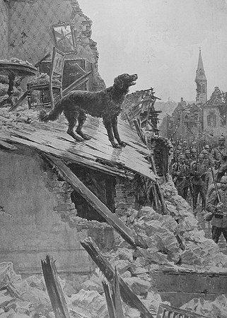 A Dog Trying To Defend His Home Duing The German Occupation Of Vailly On The Aisne