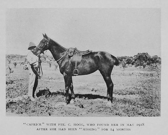 Hogg C Pte 13th Hussars The 13th Hussars In The Great War