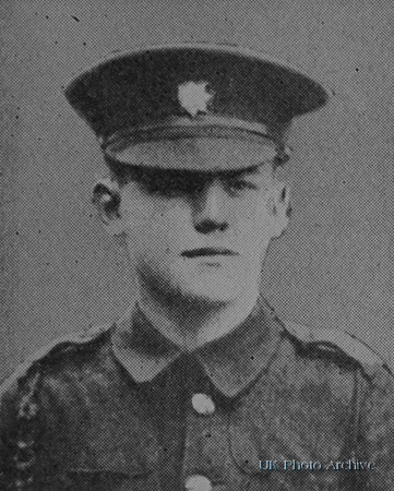 Champion V A R Bugler 1468 13th London Regiment De Ruvignys Roll Of Honour Vol 1