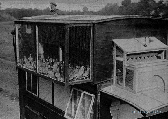 A Motor Lorry Pigeon Loft At Staff Headquarters Behind The Lines