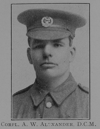 Alexander A W Cpl DCM Hampshire Regiment