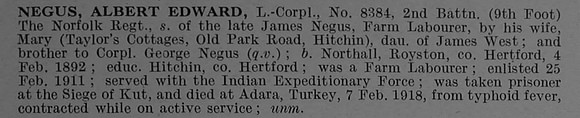 Negus A E L/Cpl 8384 2nd Norfolk Regiment Obit De Ruvignys Roll Of Honour Vol 4