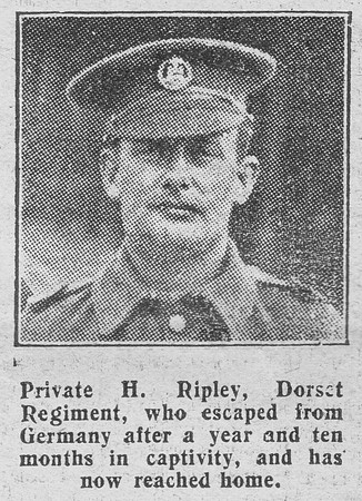 Ripley H Pte Dorset Regiment The Graphic 28th Aug 1916