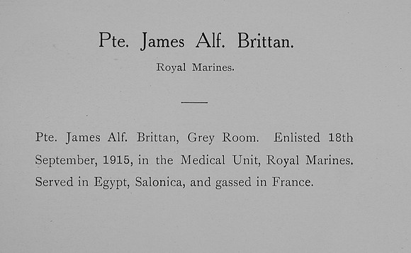Brittan J A Pte Royal Marine Light Infantry Record William Graham Co Roll Of Honour